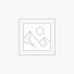 Air Cleaner Filter Element (Additional)